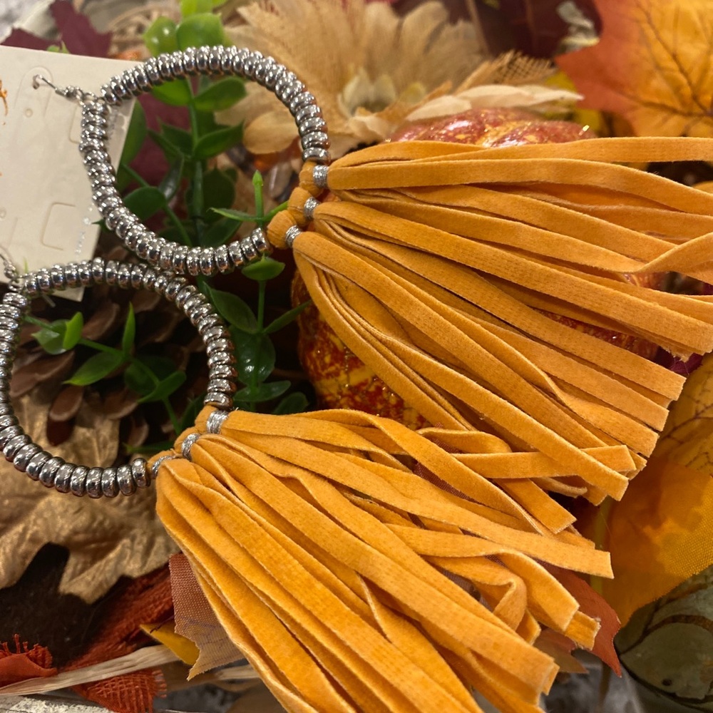 Super cute tassel earrings